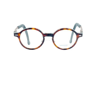 omodoktiny604TORT